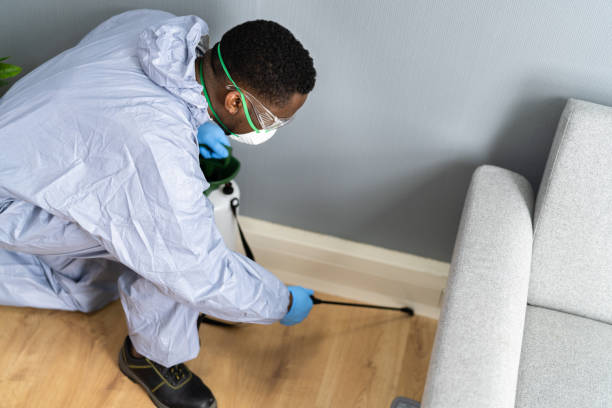 Best Bed Bug Extermination  in Auburn, GA